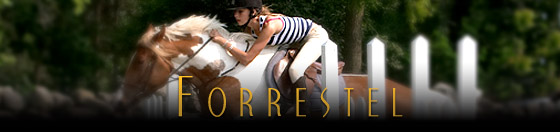 Forrestel - A summer camp for girls and boys